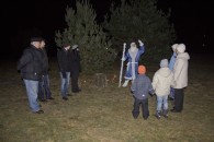 Новый 2012 год в лесу