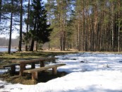 Весна