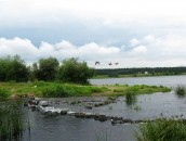 Соединение Даугавы и притока Дарзини